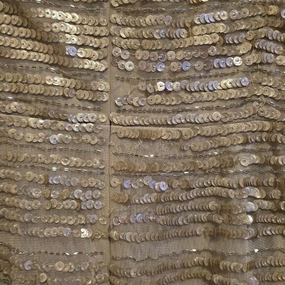Johnny Was Champagne Beaded Mesh Dress Sz 8 NWT - Picture 9 of 13